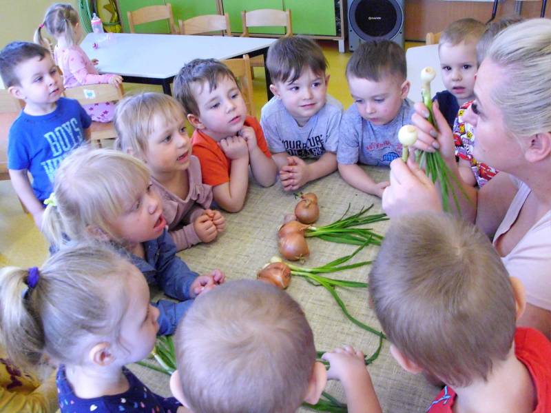 Cebulka i szczypiorek - praca plastyczna